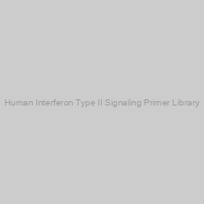 Image of Human Interferon Type II Signaling Primer Library